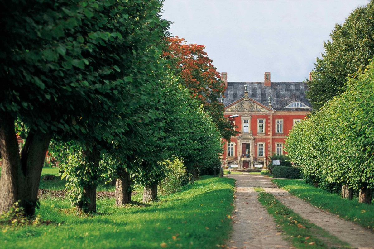 Lindenallee zum Schloss; Foto: Bernt Hoffmann