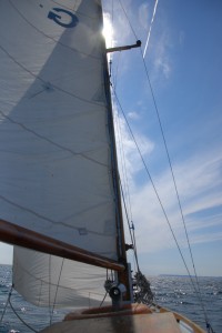 Das Großsegel im Wind.