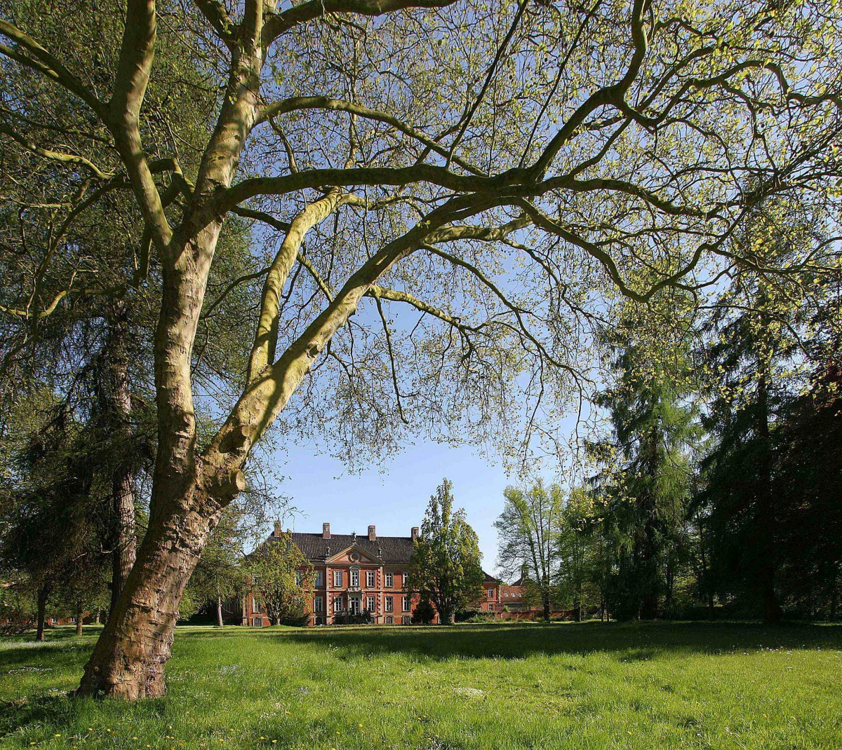 Mit einem Gartenfest öffnet am 23. Mai das Schlossmuseum; Foto: Dr. Carsten Neumann